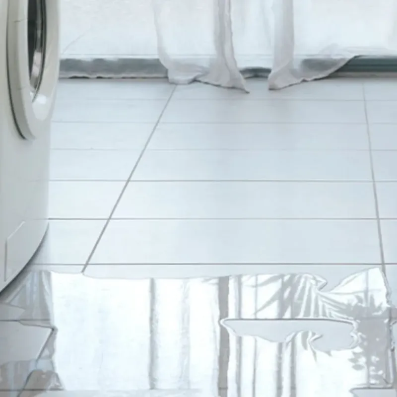 Appliance Leak Cleanup in West Englewood, IL