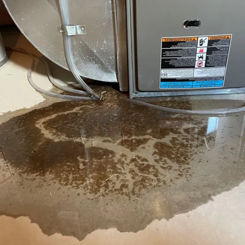 Pipe Burst and Leak Restoration in West Englewood, IL
