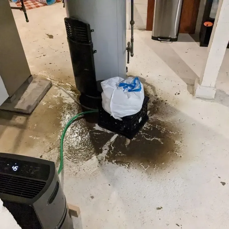 Sewage Backup Cleanup Service in West Englewood, IL